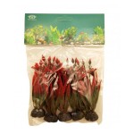 ΔΙΑΚΟΣΜΗΤΙΚΟ ΦΥΤΟ ΕΝΥΔΡΕΙΟΥ 5ΤΜΧ ΣΕ ΔΙΑΦΟΡΑ ΣΧΕΔΙΑ